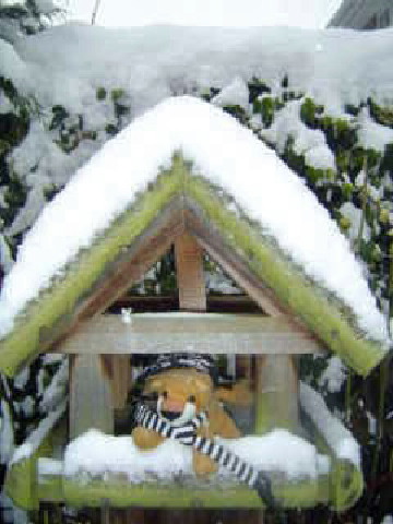 image4