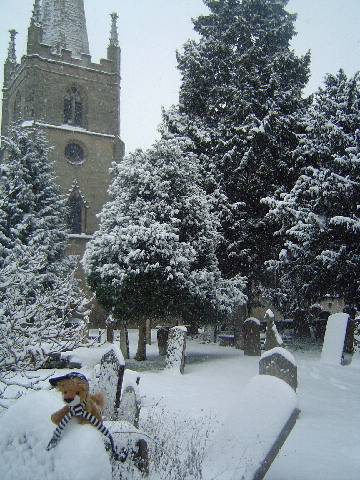 image8