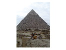 thumbnail12