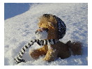 thumbnail2