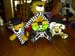 IMG-20110605-00045
