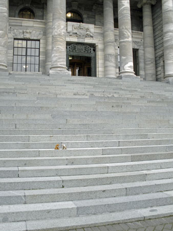 P8110030