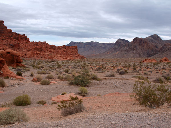 PC022289