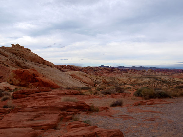 PC022366
