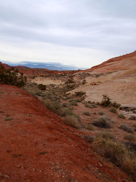 PC022477