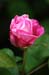war_j385