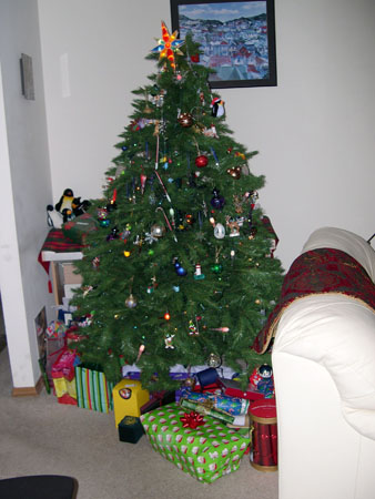 DSCN3186
