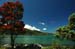 DSF_0220