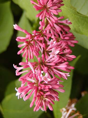 p6020076