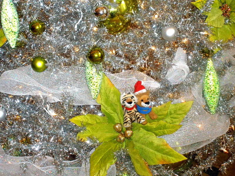 image3