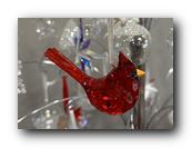 IMG_8010-c.jpg
