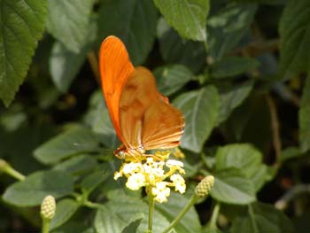 p6070028