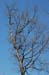 dsd_0037