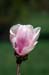 dsd_0072