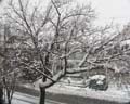 tblizzard5.jpg