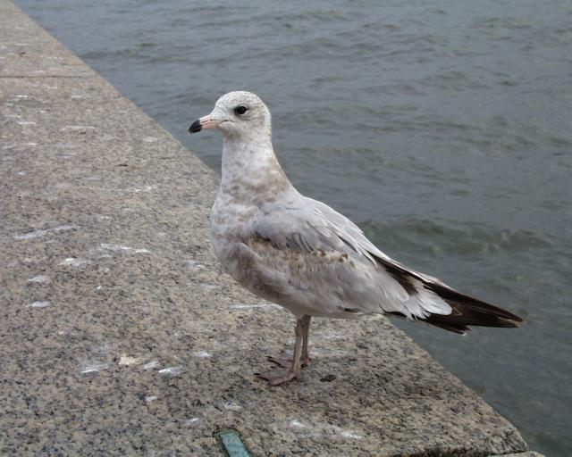 Travel Image